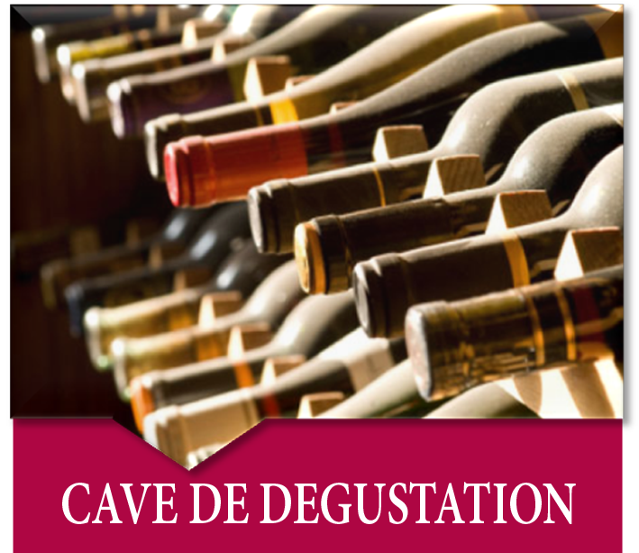 The Wine Cellar Club - cave de degustation